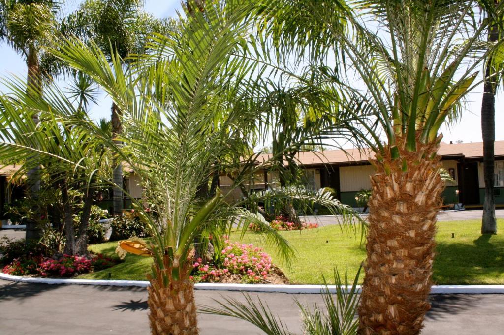 Palm Tropics Motel Glendora Ngoại thất bức ảnh
